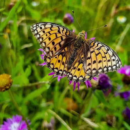 Wasserkuppe Resort 3*