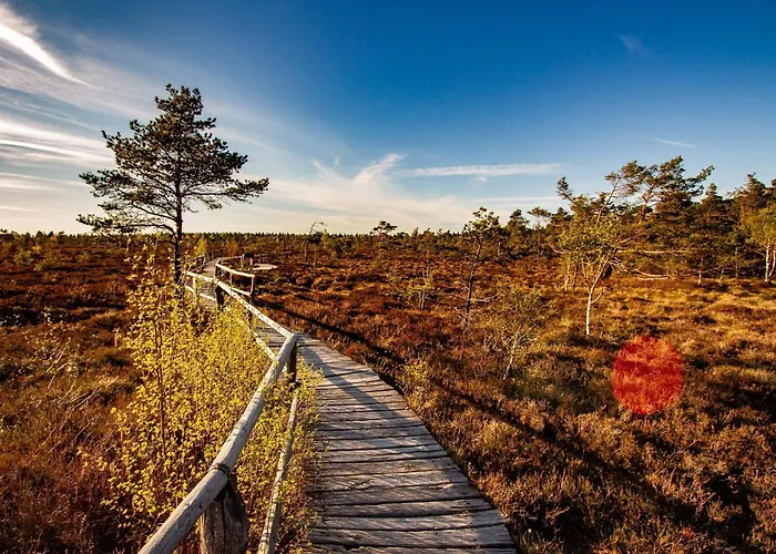 Wasserkuppe منتجع غيرسفلد